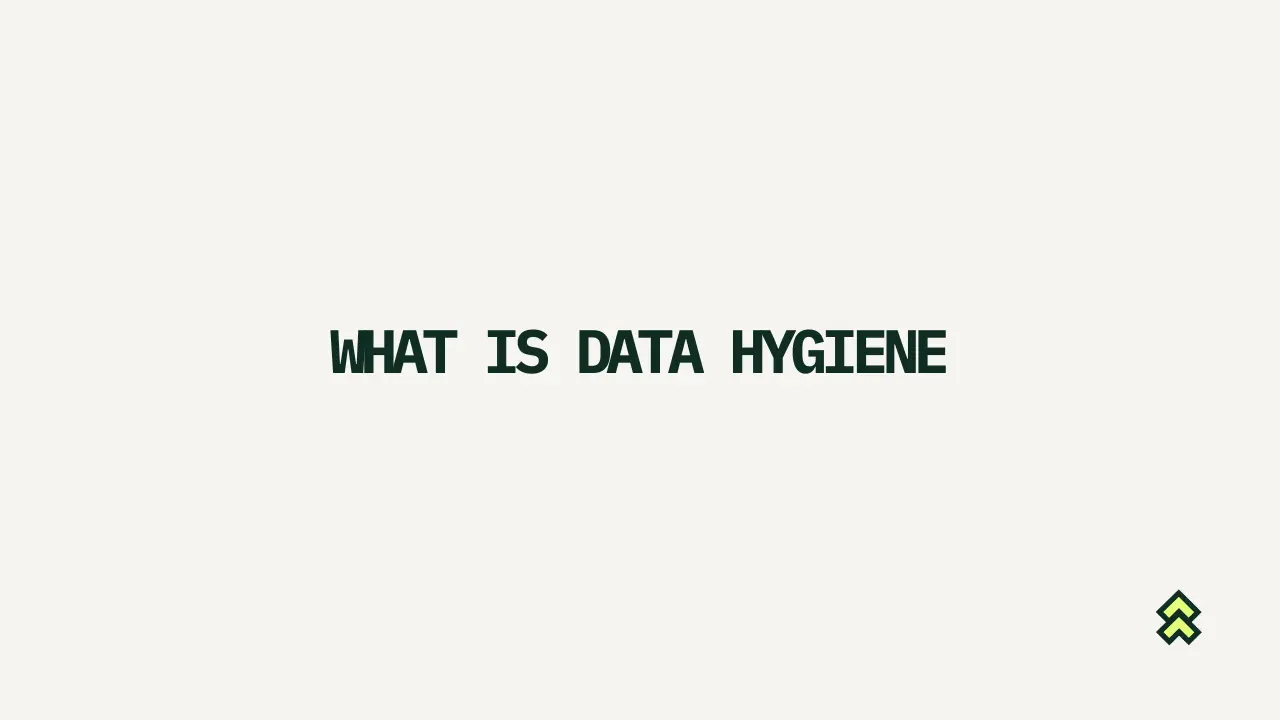 What is data hygiene, and how is it different from data enrichment